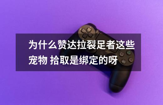 为什么赞达拉裂足者这些宠物 拾取是绑定的呀-第1张-游戏信息-龙启网