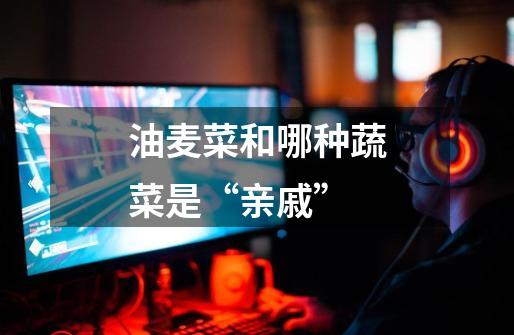 油麦菜和哪种蔬菜是“亲戚”-第1张-游戏信息-龙启网
