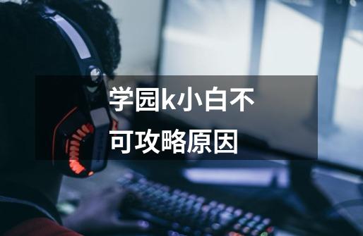 学园k小白不可攻略原因-第1张-游戏信息-龙启网