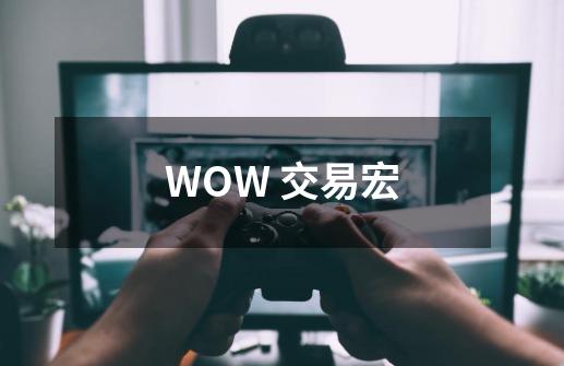 WOW 交易宏-第1张-游戏信息-龙启网