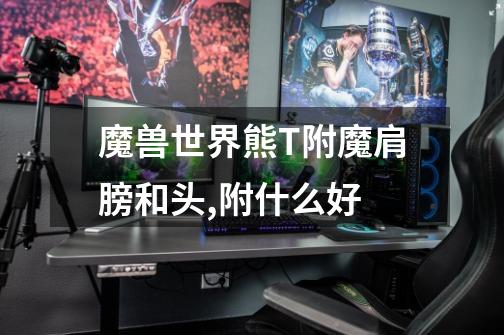 魔兽世界熊T附魔肩膀和头,附什么好-第1张-游戏信息-龙启网