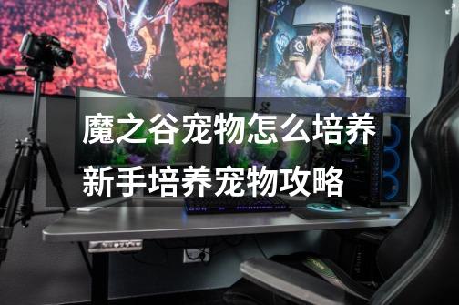 魔之谷宠物怎么培养新手培养宠物攻略-第1张-游戏信息-龙启网