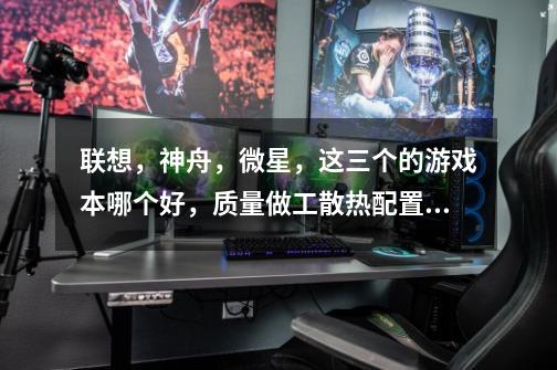 联想，神舟，微星，这三个的游戏本哪个好，质量做工散热配置好的，推荐推荐个型号-第1张-游戏信息-龙启网