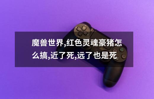 魔兽世界,红色灵魂豪猪怎么搞,近了死,远了也是死-第1张-游戏信息-龙启网