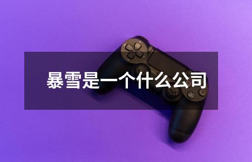 暴雪是一个什么公司-第1张-游戏信息-龙启网