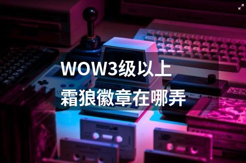 WOW3级以上霜狼徽章在哪弄-第1张-游戏信息-龙启网