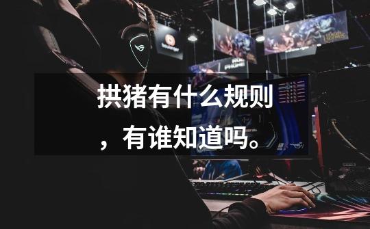 拱猪有什么规则,有谁知道吗。-第1张-游戏信息-龙启网