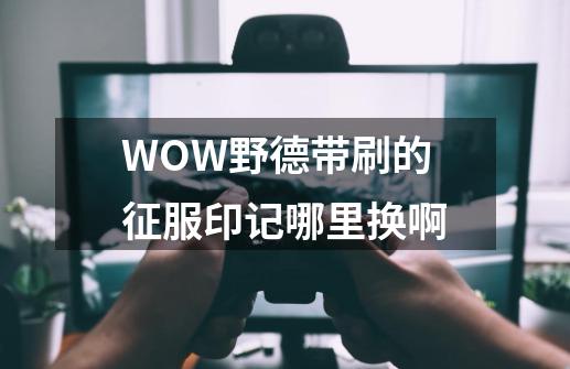 WOW野德带刷的征服印记哪里换啊-第1张-游戏信息-龙启网