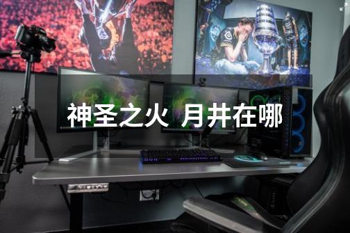 神圣之火  月井在哪-第1张-游戏信息-龙启网