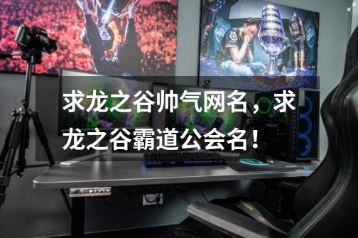 求龙之谷帅气网名，求龙之谷霸道公会名！-第1张-游戏信息-龙启网