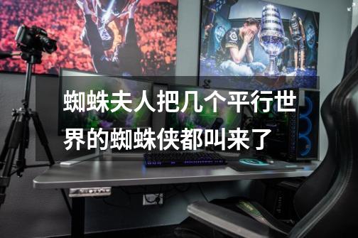 蜘蛛夫人把几个平行世界的蜘蛛侠都叫来了-第1张-游戏信息-龙启网