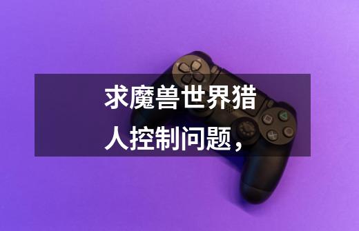 求魔兽世界猎人控制问题,-第1张-游戏信息-龙启网