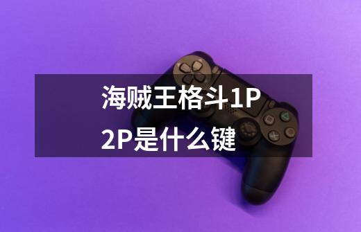 海贼王格斗1P2P是什么键-第1张-游戏信息-龙启网