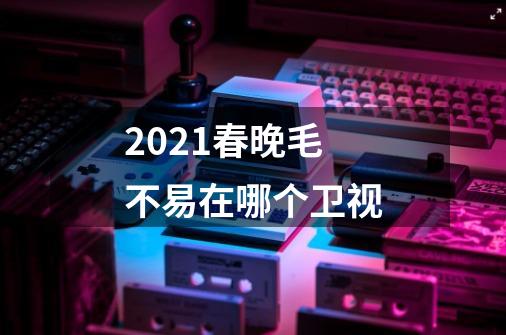 2021春晚毛不易在哪个卫视-第1张-游戏信息-龙启网
