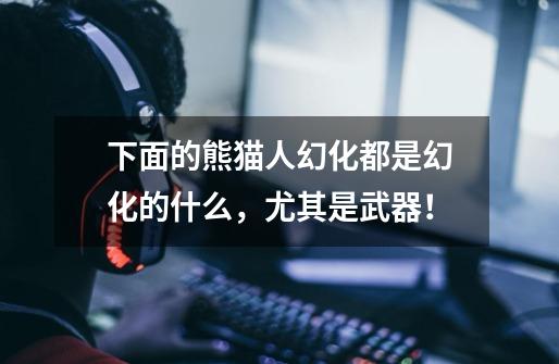 下面的熊猫人幻化都是幻化的什么,尤其是武器!-第1张-游戏信息-龙启网
