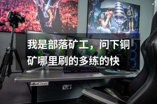 我是部落矿工,问下铜矿哪里刷的多练的快-第1张-游戏信息-龙启网