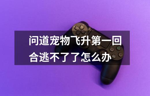 问道宠物飞升第一回合逃不了了怎么办-第1张-游戏信息-龙启网