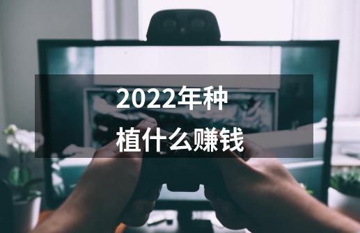2022年种植什么赚钱-第1张-游戏信息-龙启网