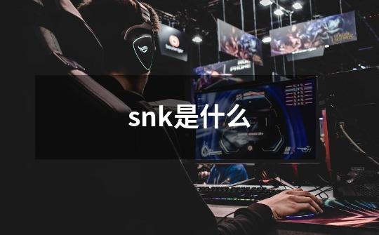 snk是什么-第1张-游戏信息-龙启网