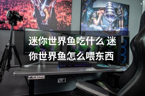 迷你世界鱼吃什么 迷你世界鱼怎么喂东西-第1张-游戏信息-龙启网