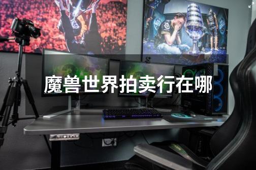 魔兽世界拍卖行在哪-第1张-游戏信息-龙启网