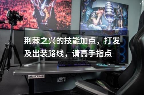 荆棘之兴的技能加点,打发及出装路线,请高手指点-第1张-游戏信息-龙启网