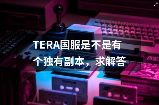 TERA国服是不是有个独有副本，求解答-第1张-游戏信息-龙启网