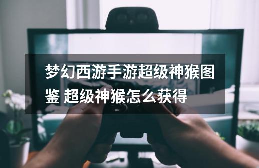 梦幻西游手游超级神猴图鉴 超级神猴怎么获得-第1张-游戏信息-龙启网