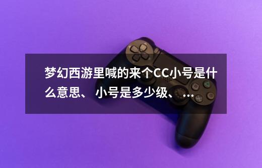 梦幻西游里喊的来个CC小号是什么意思、 小号是多少级、 是下副本么、-第1张-游戏信息-龙启网