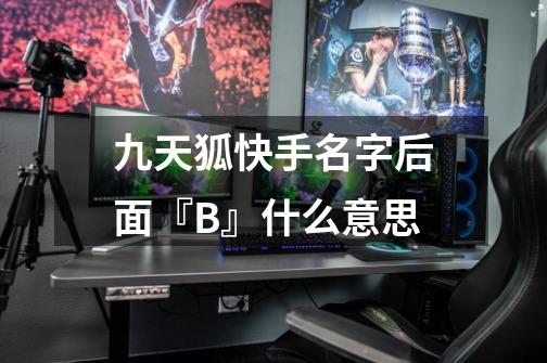 九天狐快手名字后面『B+』什么意思-第1张-游戏信息-龙启网