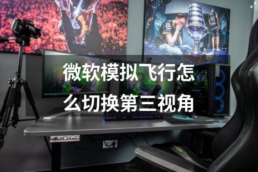 微软模拟飞行怎么切换第三视角-第1张-游戏信息-龙启网