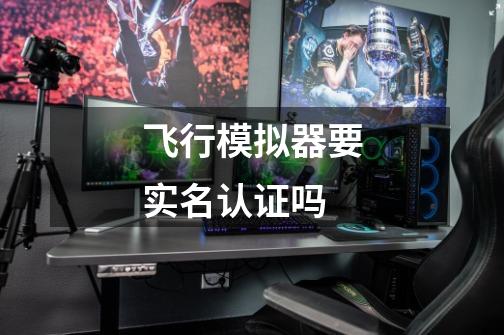 飞行模拟器要实名认证吗-第1张-游戏信息-龙启网
