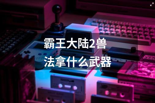 霸王大陆2兽法拿什么武器-第1张-游戏信息-龙启网