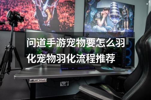 问道手游宠物要怎么羽化宠物羽化流程推荐-第1张-游戏信息-龙启网