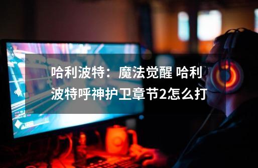 哈利波特:魔法觉醒 哈利波特呼神护卫章节2怎么打-第1张-游戏信息-龙启网