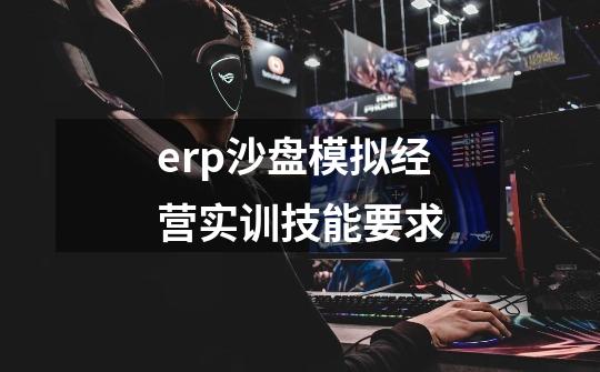 erp沙盘模拟经营实训技能要求-第1张-游戏信息-龙启网