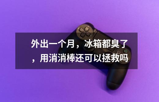 外出一个月，冰箱都臭了，用消消棒还可以拯救吗-第1张-游戏信息-龙启网