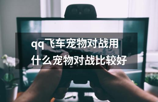 qq飞车宠物对战用什么宠物对战比较好-第1张-游戏信息-龙启网