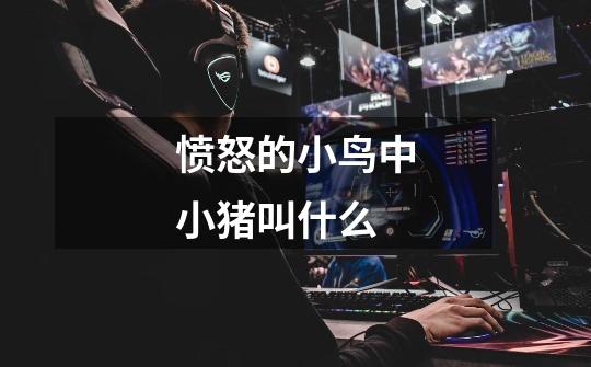 愤怒的小鸟中小猪叫什么-第1张-游戏信息-龙启网