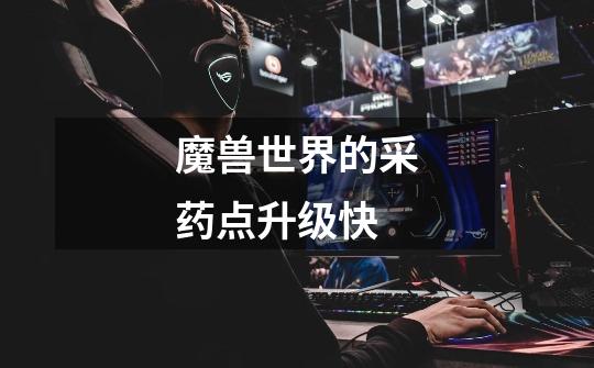 魔兽世界的采药点升级快-第1张-游戏信息-龙启网