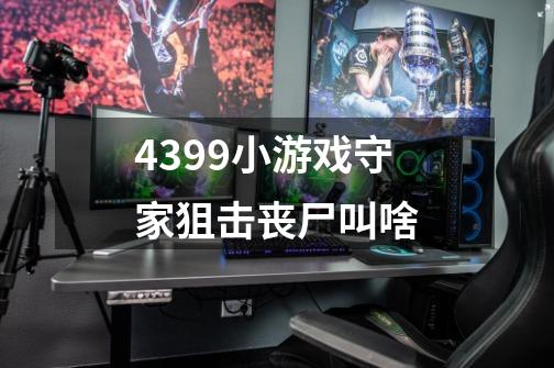 4399小游戏守家狙击丧尸叫啥-第1张-游戏信息-龙启网