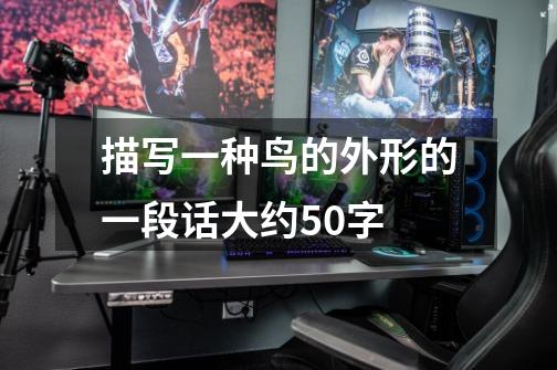 描写一种鸟的外形的一段话大约50字-第1张-游戏信息-龙启网