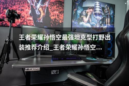 王者荣耀孙悟空最强坦克型打野出装推荐介绍_王者荣耀孙悟空最强坦克型打野出装推荐是什么-第1张-游戏信息-龙启网