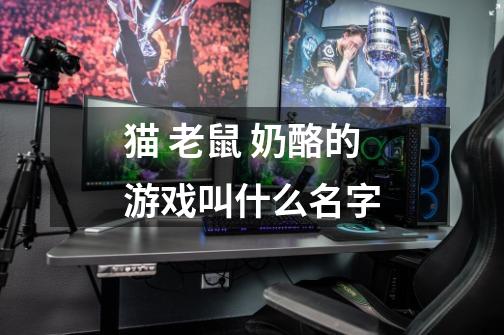 猫 老鼠 奶酪的游戏叫什么名字-第1张-游戏信息-龙启网
