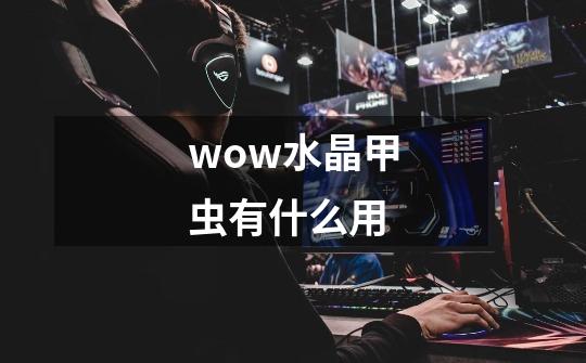 wow水晶甲虫有什么用-第1张-游戏信息-龙启网