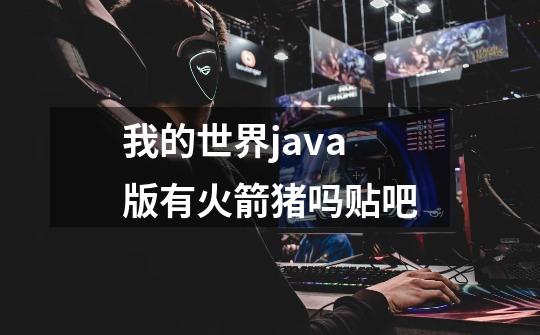 我的世界java版有火箭猪吗贴吧-第1张-游戏信息-龙启网