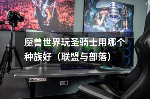 魔兽世界玩圣骑士用哪个种族好(联盟与部落)-第1张-游戏信息-龙启网