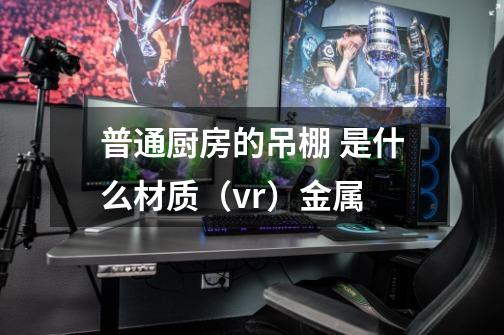 普通厨房的吊棚 是什么材质（vr）金属-第1张-游戏信息-龙启网