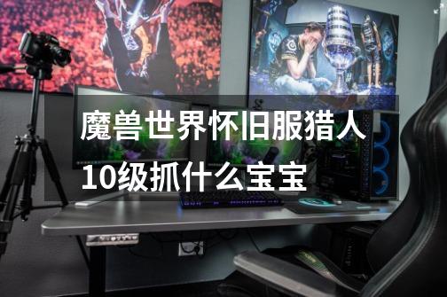 魔兽世界怀旧服猎人10级抓什么宝宝-第1张-游戏信息-龙启网