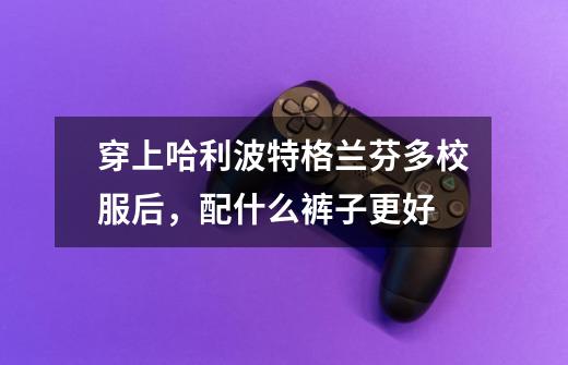 穿上哈利波特格兰芬多校服后，配什么裤子更好-第1张-游戏信息-龙启网